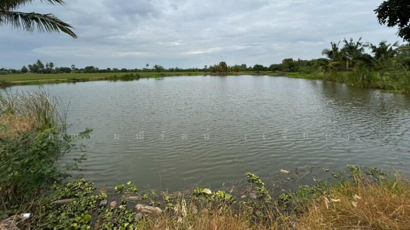 ที่ดิน 9-3-99.5 ไร่ ดอนโพธิ์ สวนแตง ทำเลดี, Suphan Buri, ถนนมาลัยแมน, Don Pho Thong, Muang Suphanburi, Suphan Buri, , 15,996 sqm, Land For Sale, by คุณ มณีรัตน์ (เจี๊ยบ), 500056641 - DDproperty.com