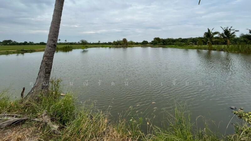 ที่ดิน 9-3-99.5 ไร่ ดอนโพธิ์ สวนแตง ทำเลดี, สุพรรณบุรี, ถนนมาลัยแมน, ดอนโพธิ์ทอง, เมืองสุพรรณบุรี, สุพรรณบุรี, 15,996 ตร.ม., ที่ดิน ขาย, โดย คุณ มณีรัตน์ (เจี๊ยบ), 500056641 - DDproperty.com