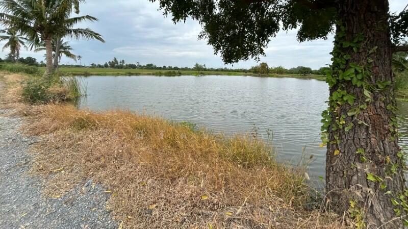 ที่ดิน 9-3-99.5 ไร่ ดอนโพธิ์ สวนแตง ทำเลดี, สุพรรณบุรี, ถนนมาลัยแมน, ดอนโพธิ์ทอง, เมืองสุพรรณบุรี, สุพรรณบุรี, 15,996 ตร.ม., ที่ดิน ขาย, โดย คุณ มณีรัตน์ (เจี๊ยบ), 500056641 - DDproperty.com