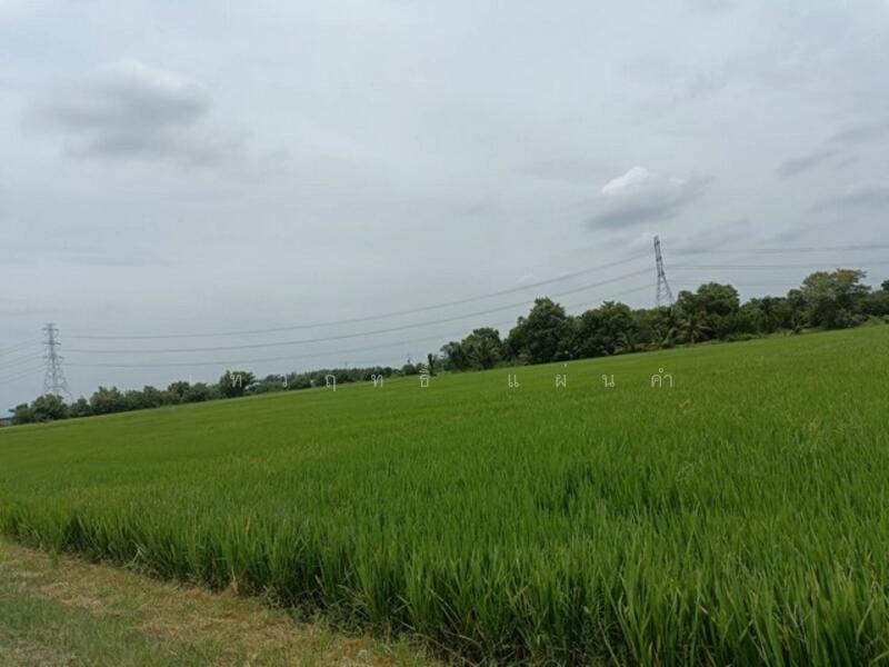 ขาย - ขายที่ดินผืนใหญ่ ทำเลชุมชน จังหวัดฉะเชิงเทรา, ฉะเชิงเทรา