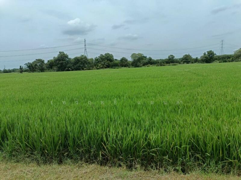 ขาย - ขายที่ดินผืนใหญ่ ทำเลชุมชน จังหวัดฉะเชิงเทรา, ฉะเชิงเทรา