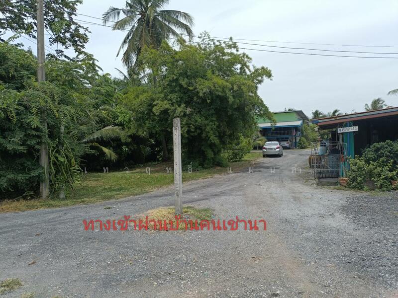 ขาย - ขายที่ดินผืนใหญ่ ทำเลชุมชน จังหวัดฉะเชิงเทรา, ฉะเชิงเทรา