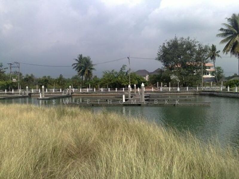 For Rent - กฤษดานคร 27, Nakhon Pathom