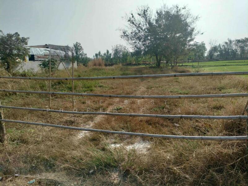 For Sale - ที่ดินลาดพัฒนา มหาสารคาม, Maha Sarakham