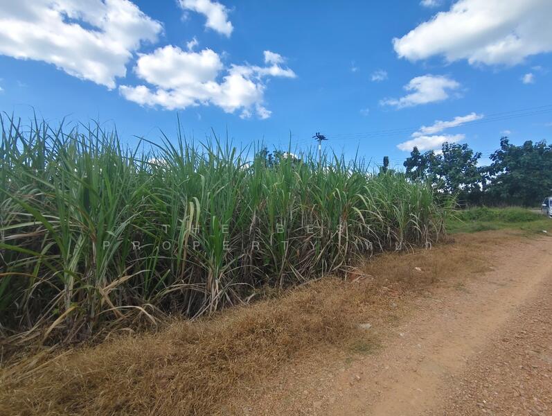 For Sale - ที่ดินด่านมะขามเตี้ย กาญจนบุรี, Kanchanaburi