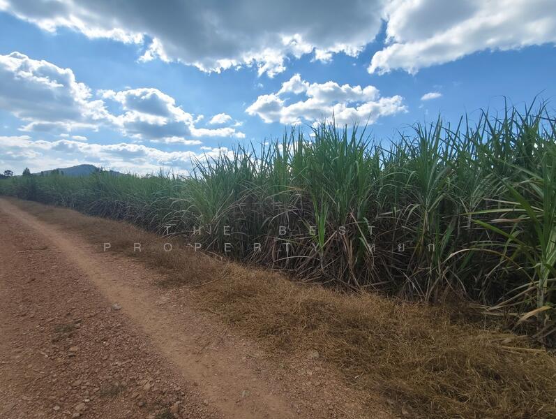 For Sale - ที่ดินด่านมะขามเตี้ย กาญจนบุรี, Kanchanaburi