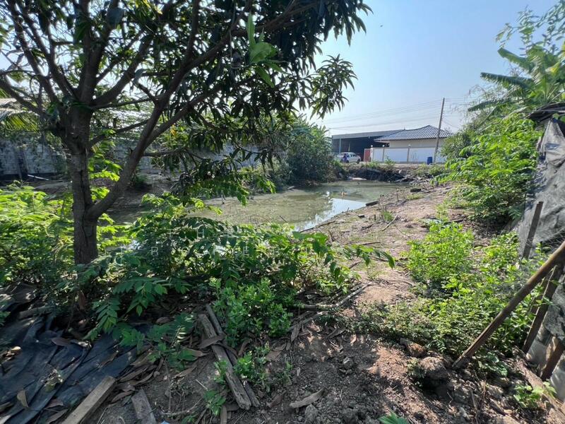 ขาย - ที่ดินกระทุ่มแบน สมุทรสาคร, สมุทรสาคร