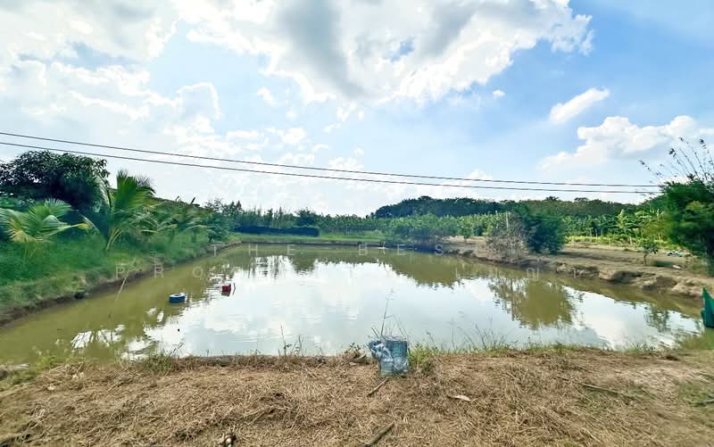 ที่ดินพร้อมสิ่งปลูกสร้างท่ายาง เพชรบุรี, Phetchaburi, Klat Luang, Tha Yang, Phetchaburi, , 13,964 sqm, Land For Sale, by The Best Property เมญ่า, 500057280 - DDproperty.com
