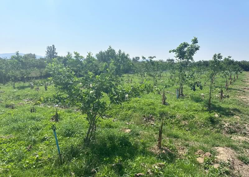 ที่ดินพร้อมสิ่งปลูกสร้างท่ายาง เพชรบุรี, Phetchaburi, Klat Luang, Tha Yang, Phetchaburi, , 13,964 sqm, Land For Sale, by The Best Property เมญ่า, 500057280 - DDproperty.com