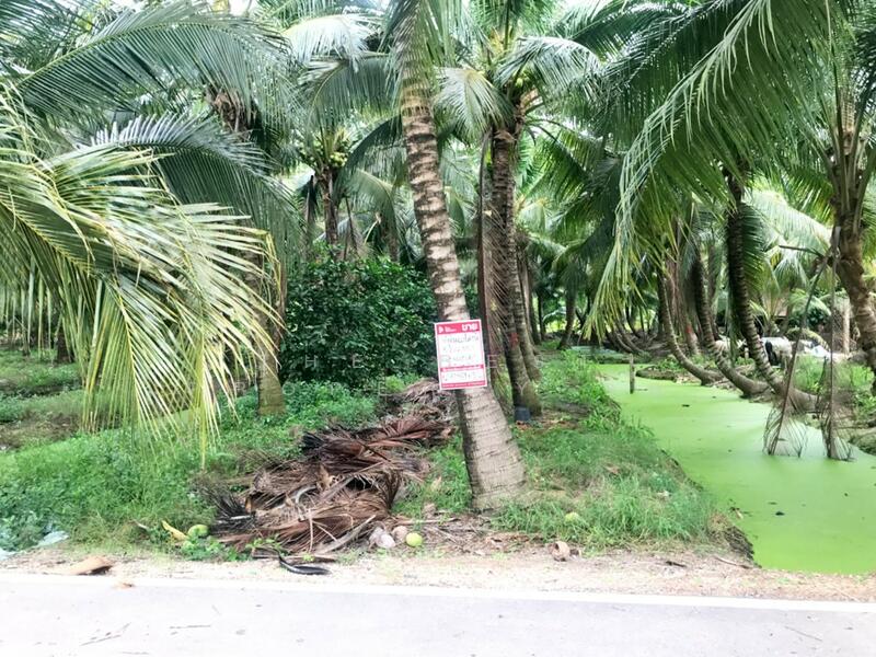 ขาย - ที่ดินบางคนที สมุทรสงคราม, สมุทรสงคราม