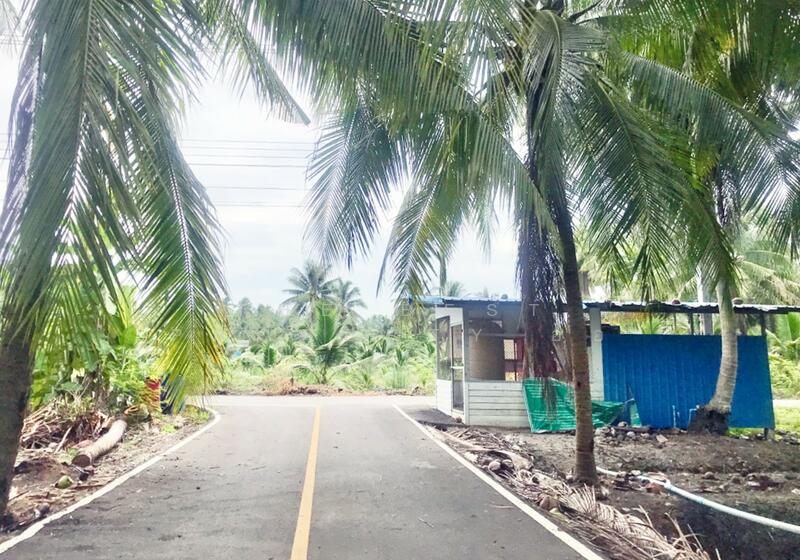 ขาย - ที่ดินบางคนที สมุทรสงคราม, สมุทรสงคราม