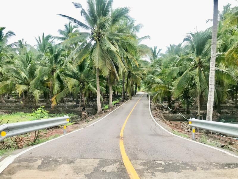 ขาย - ที่ดินบางคนที สมุทรสงคราม, สมุทรสงคราม