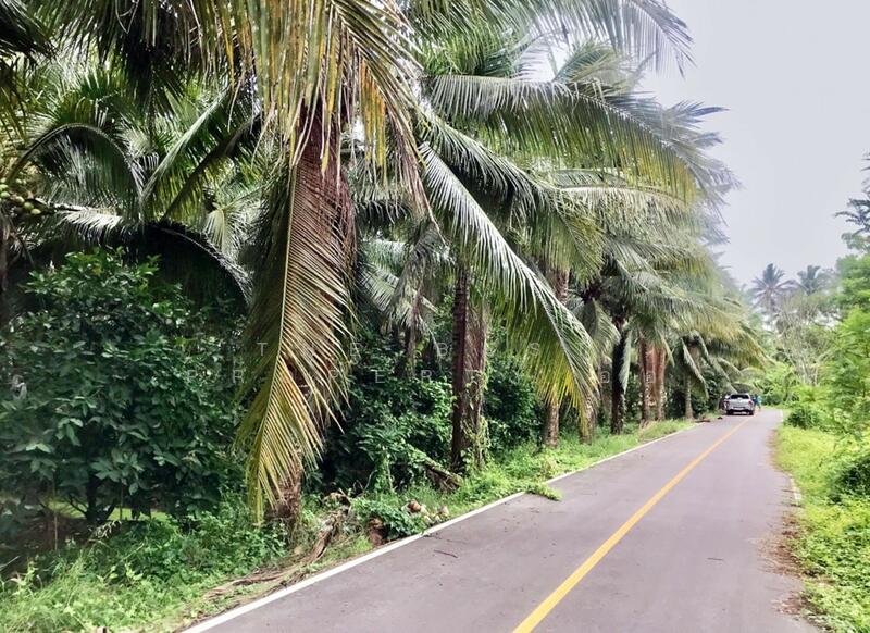 ขาย - ที่ดินบางคนที สมุทรสงคราม, สมุทรสงคราม