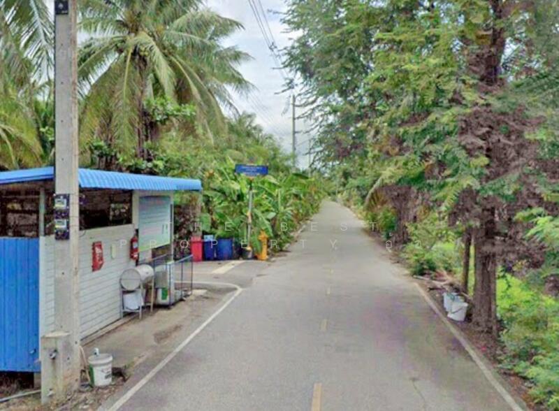 ขาย - ที่ดินบางคนที สมุทรสงคราม, สมุทรสงคราม