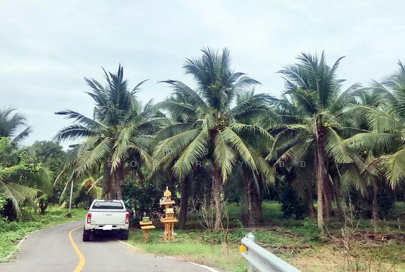 ขาย - ที่ดินบางคนที สมุทรสงคราม, สมุทรสงคราม