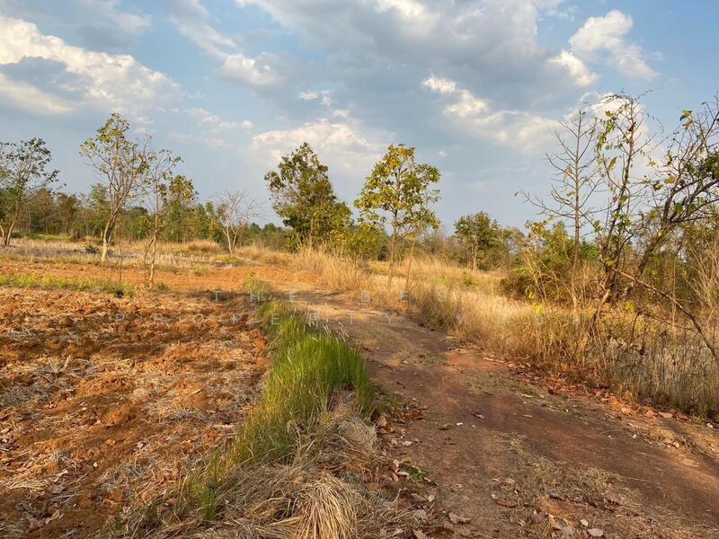 For Sale - ที่ดินสามพร้าว อุดรธานี, Udon Thani