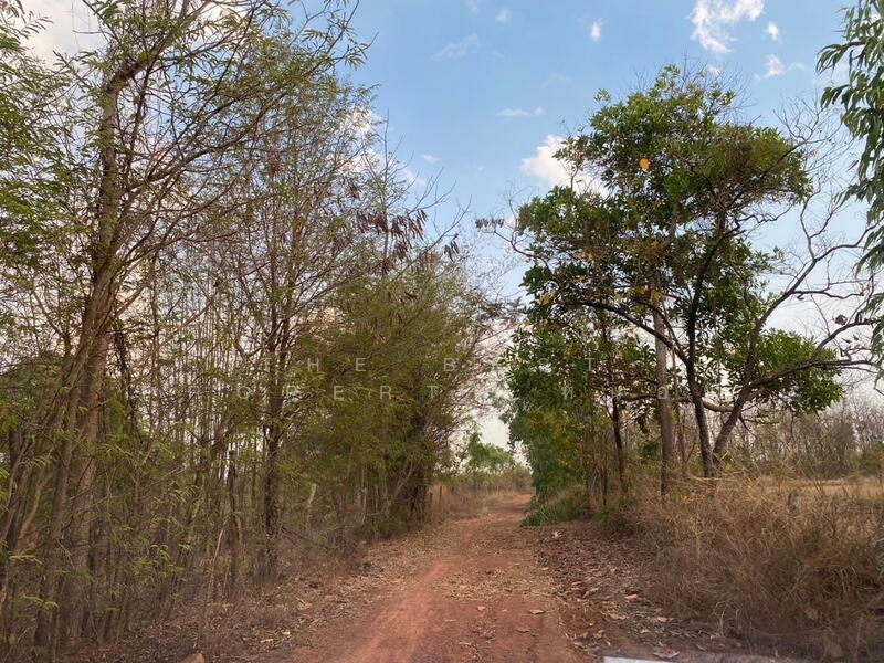 For Sale - ที่ดินสามพร้าว อุดรธานี, Udon Thani