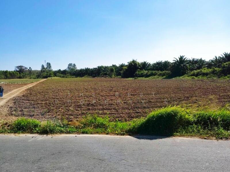 ขาย - ที่ดินแปลงยาว ฉะเชิงเทรา, ฉะเชิงเทรา