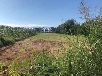 ขาย - ขายที่ดินทำเลดี ตำบลสะเดียง อำเภอเมืองเพชรบูรณ์, เพชรบูรณ์