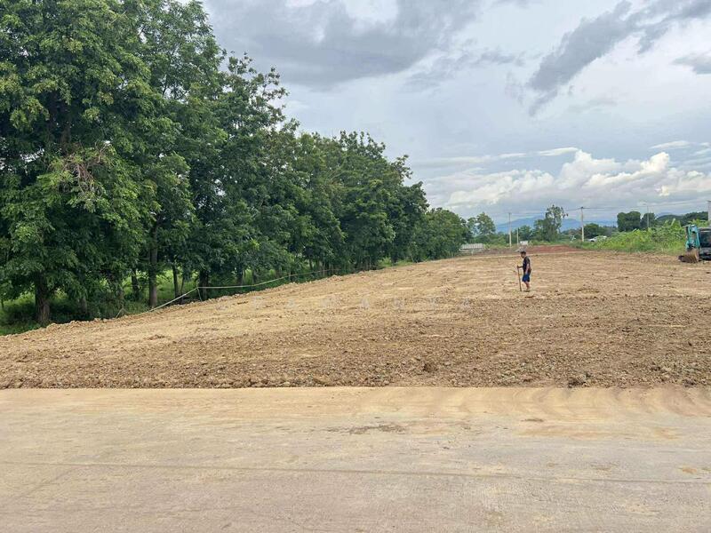 ขาย - ขายที่ดินทำเลดี ตำบลสะเดียง อำเภอเมืองเพชรบูรณ์, เพชรบูรณ์