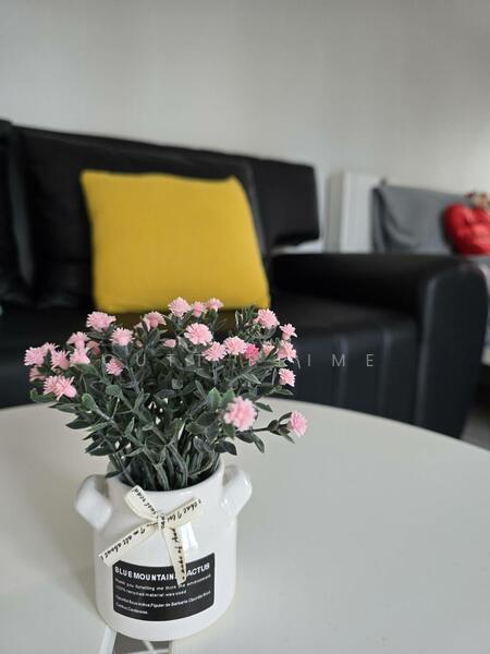 ขาย - The View Suanluang : เดอะวิว คอนโด สวนหลวง, ภูเก็ต