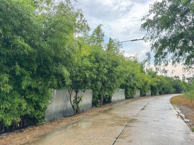 ขาย - ที่ดินสามโคก, ปทุมธานี