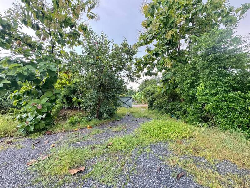 ขาย - ที่ดินสามโคก, ปทุมธานี