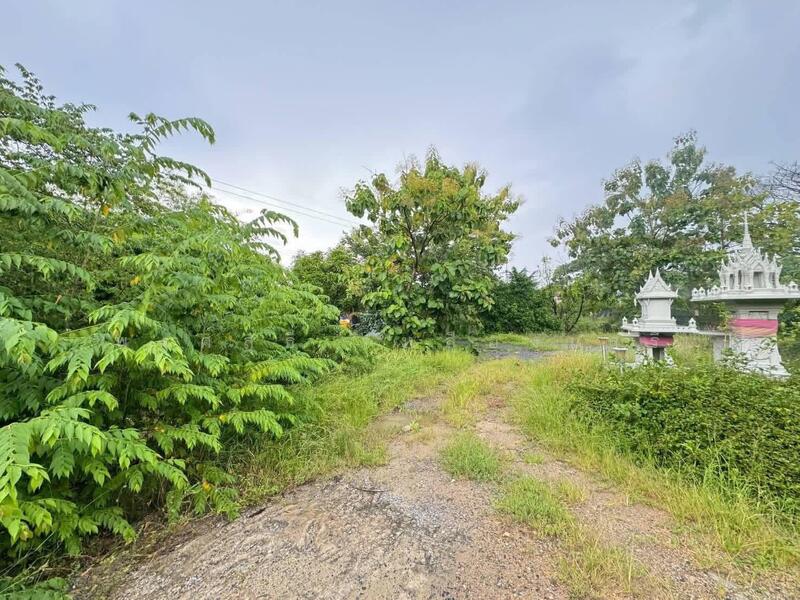 ขาย - ที่ดินสามโคก, ปทุมธานี