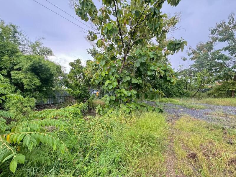 ขาย - ที่ดินสามโคก, ปทุมธานี