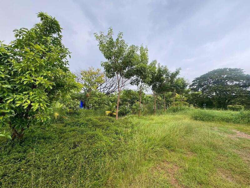 ขาย - ที่ดินสามโคก, ปทุมธานี