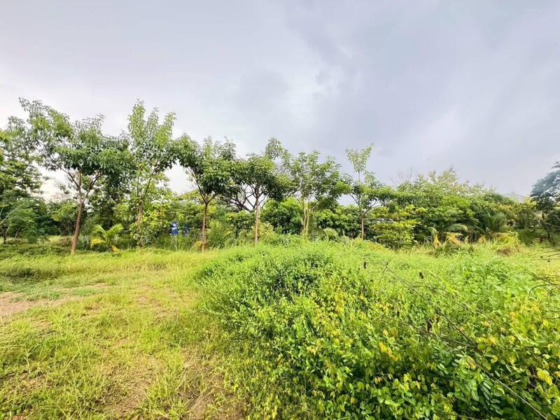 ขาย - ที่ดินสามโคก, ปทุมธานี