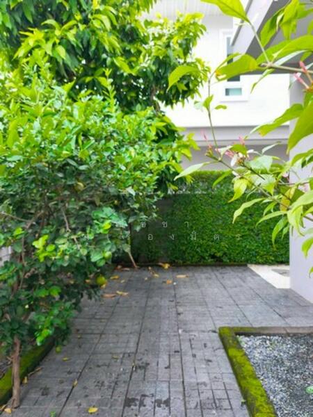 For Sale - The Grand Millenium Phitsanulok, Phitsanulok