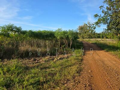 ขาย - ขายที่ดินเกษตร มีแหล่งน้ำพร้อม 50-2-50 ไร่ นส.3ข, อุตรดิตถ์