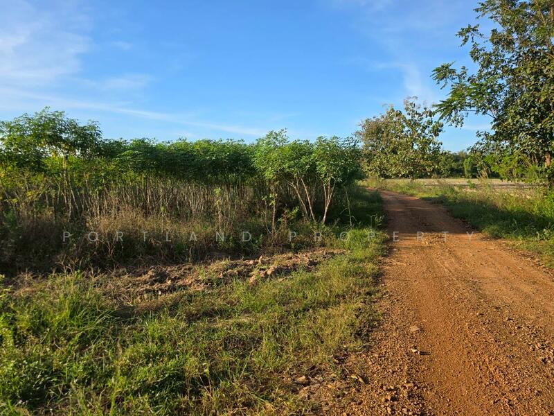 For Sale - ขายที่ดินเกษตร มีแหล่งน้ำพร้อม 50-2-50 ไร่ นส.3ข, Uttaradit