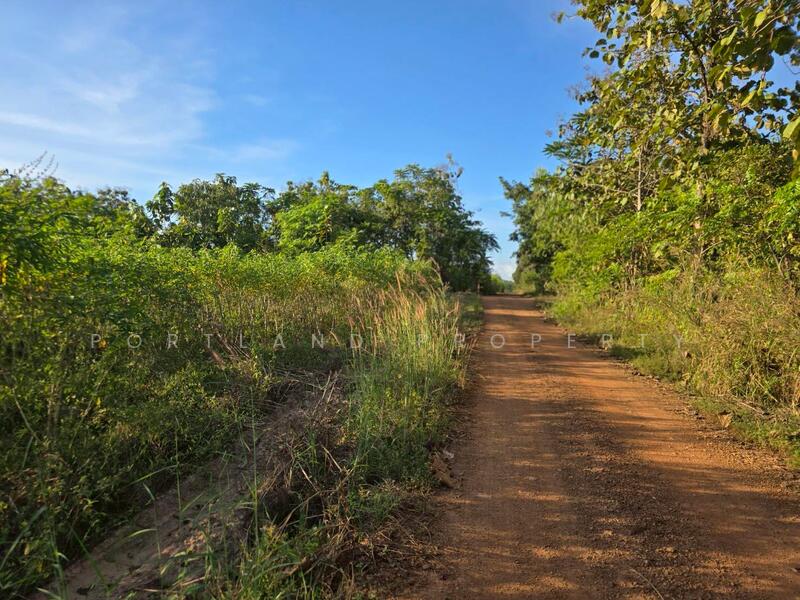 For Sale - ขายที่ดินเกษตร มีแหล่งน้ำพร้อม 50-2-50 ไร่ นส.3ข, Uttaradit