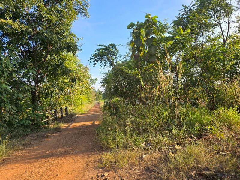 For Sale - ขายที่ดินเกษตร มีแหล่งน้ำพร้อม 50-2-50 ไร่ นส.3ข, Uttaradit