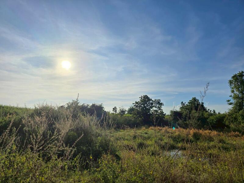 For Sale - ขายที่ดินเกษตร มีแหล่งน้ำพร้อม 50-2-50 ไร่ นส.3ข, Uttaradit