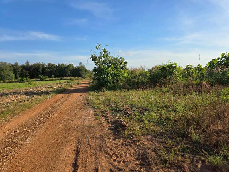 For Sale - ขายที่ดินเกษตร มีแหล่งน้ำพร้อม 50-2-50 ไร่ นส.3ข, Uttaradit