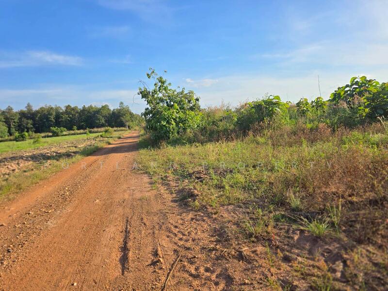 ขาย - ขายที่ดินเกษตร มีแหล่งน้ำพร้อม 50-2-50 ไร่ นส.3ข, อุตรดิตถ์