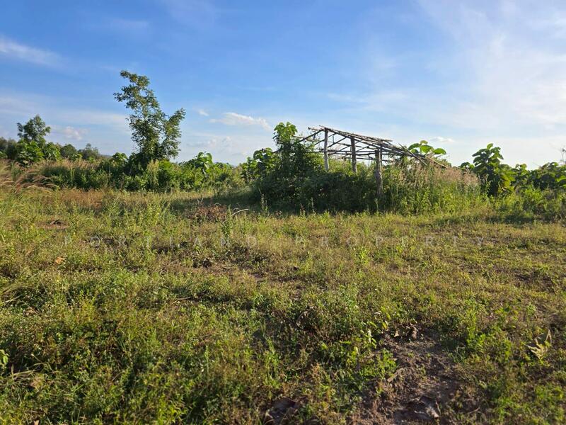 For Sale - ขายที่ดินเกษตร มีแหล่งน้ำพร้อม 50-2-50 ไร่ นส.3ข, Uttaradit