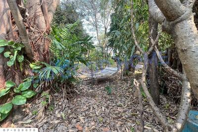 ขาย - GF-025075 ที่ดินโครงการชลลดา บางบัวทอง 206 ตร.ว. นนทบุรี ใกล้เซ็นทรัลเวสต์เกต, นนทบุรี