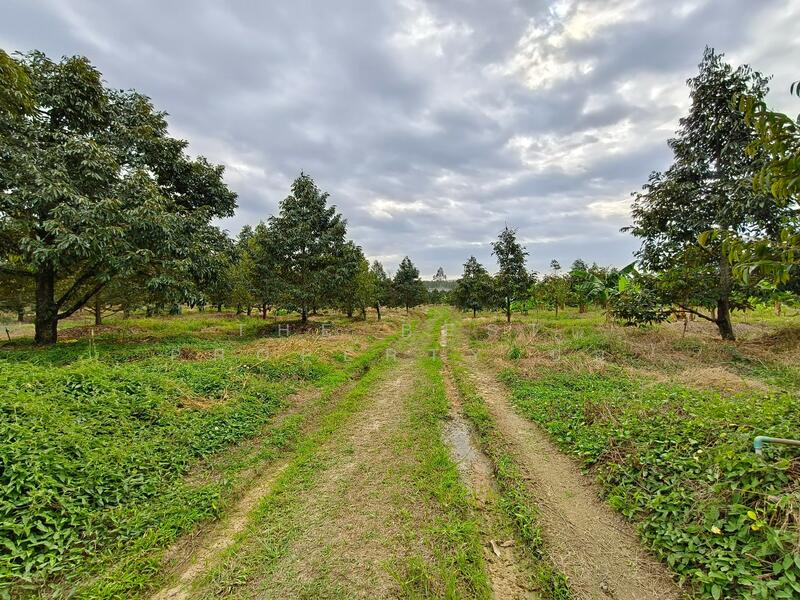 ขาย - ที่ดินเขาคิชฌกูฏ จันทบุรี, จันทบุรี