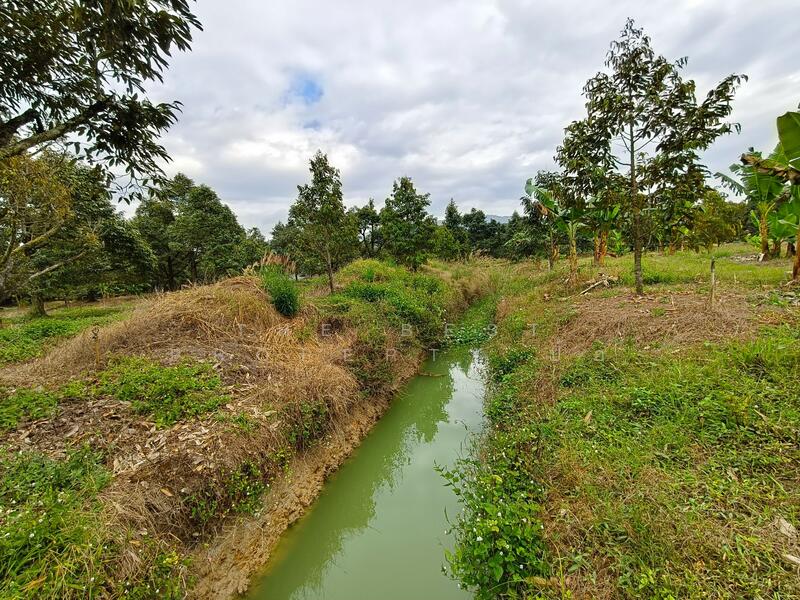 ขาย - ที่ดินเขาคิชฌกูฏ จันทบุรี, จันทบุรี