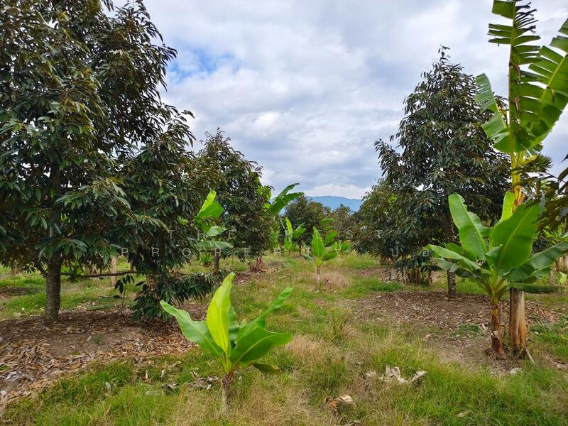 ขาย - ที่ดินเขาคิชฌกูฏ จันทบุรี, จันทบุรี