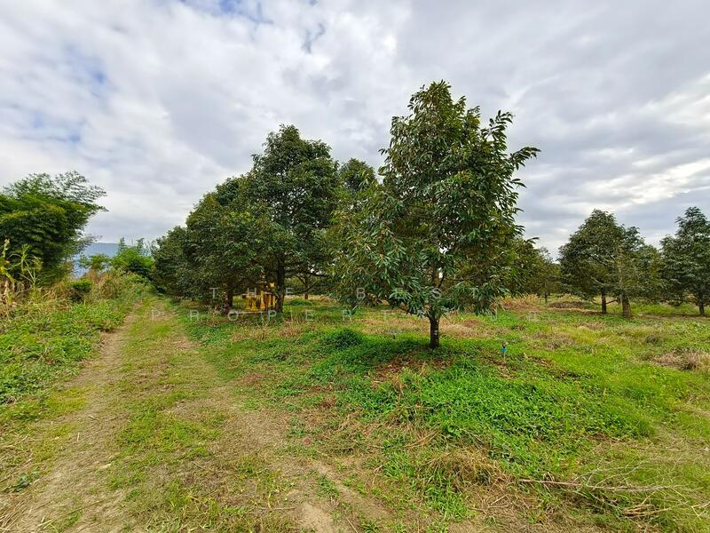 ขาย - ที่ดินเขาคิชฌกูฏ จันทบุรี, จันทบุรี