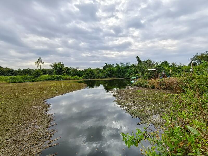 ขาย - ที่ดินเขาคิชฌกูฏ จันทบุรี, จันทบุรี