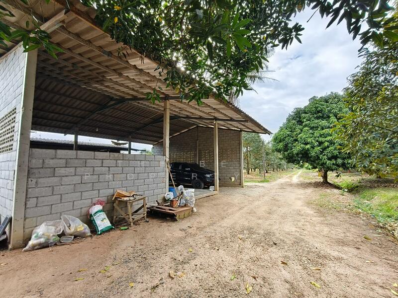 ขาย - ที่ดินเขาคิชฌกูฏ จันทบุรี, จันทบุรี