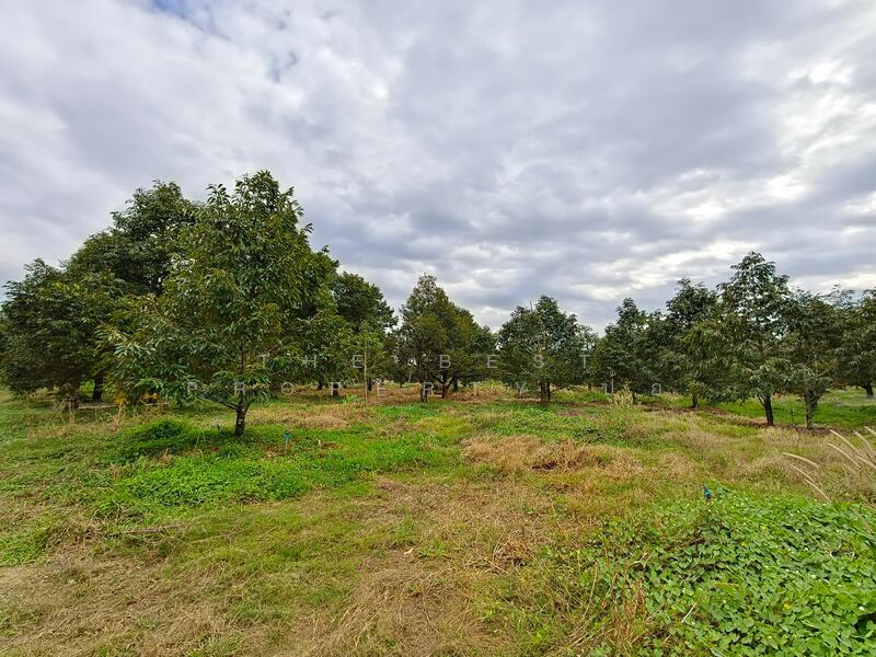 ขาย - ที่ดินเขาคิชฌกูฏ จันทบุรี, จันทบุรี