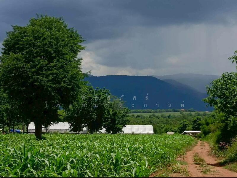 For Sale - ราคานี้…หาไม่ได้แล้วจริง ๆ ปกติ ไร่ละ5ล้าน. แต่แปลงนี้ขายไร่ละ 2.8ล้านนน, Nakhon Ratchasima