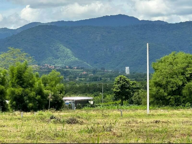 ขาย - ราคานี้…หาไม่ได้แล้วจริง ๆ ปกติ ไร่ละ5ล้าน. แต่แปลงนี้ขายไร่ละ 2.8ล้านนน, นครราชสีมา